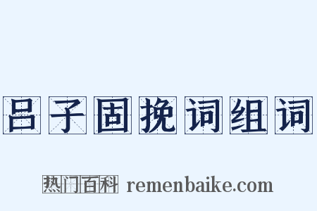 吕子固挽词组词是什么意思的图片